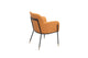 Heidi Dining Armchair - Back Angle